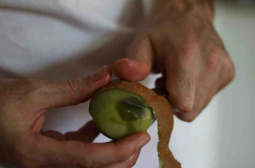 Idée smoothie kiwi