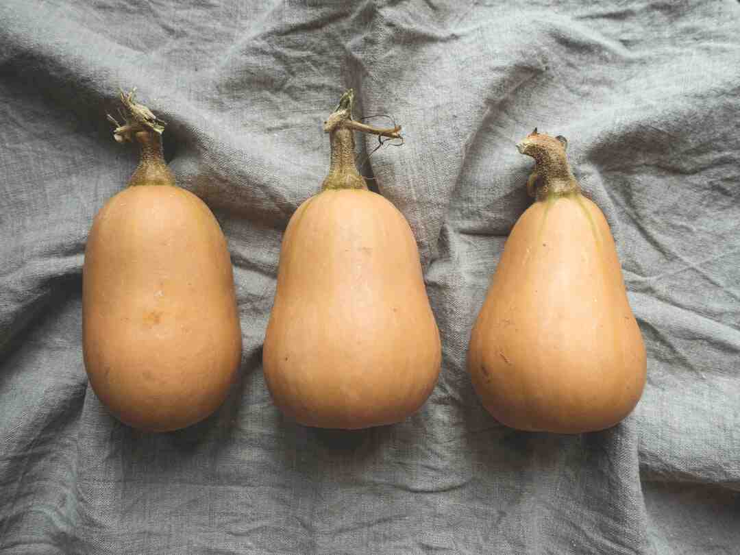 Pourquoi le portage de repas ?