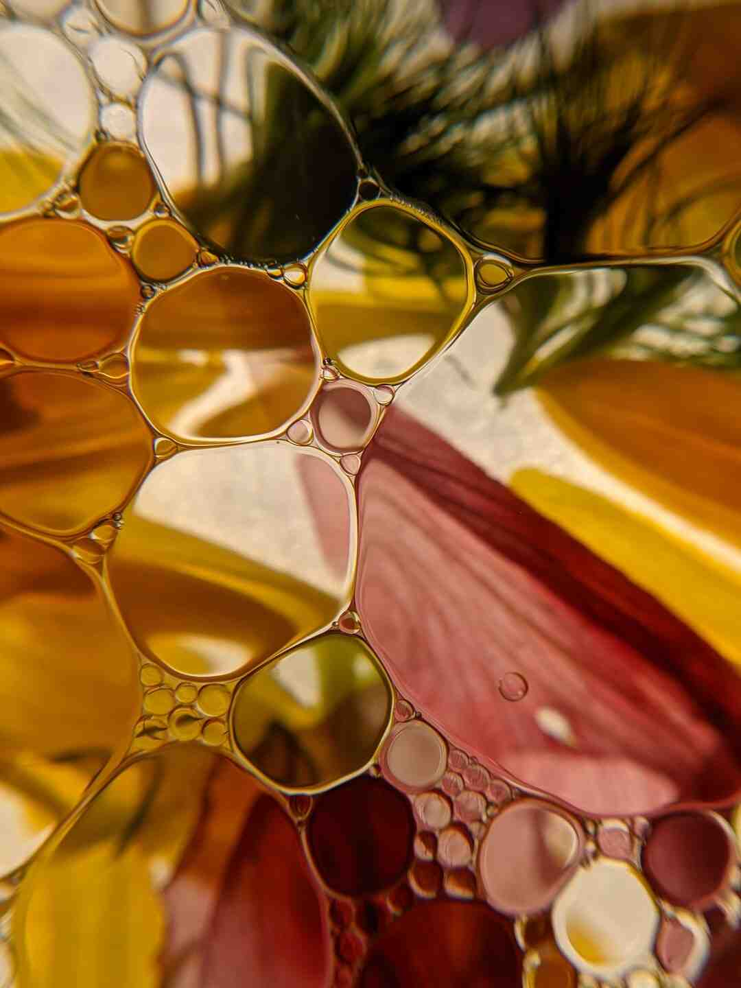 Pourquoi l'huile d'olive est chère ?