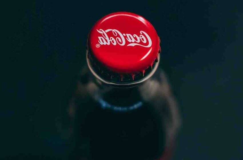 Quand changer le bouchon d'une bouteille de vin ?