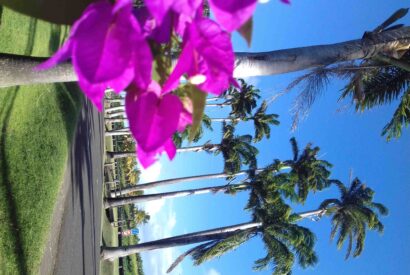 Thumbnail for Quand sont les vacances de Pâques en Guadeloupe ?