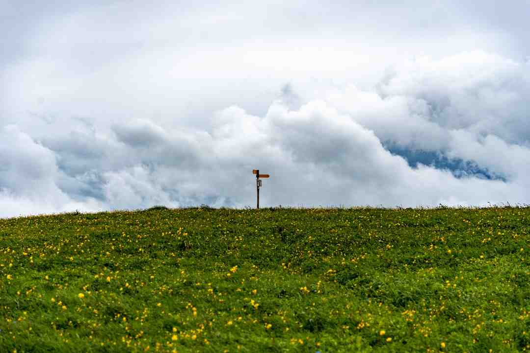 Quel CFE pour restauration rapide ?
