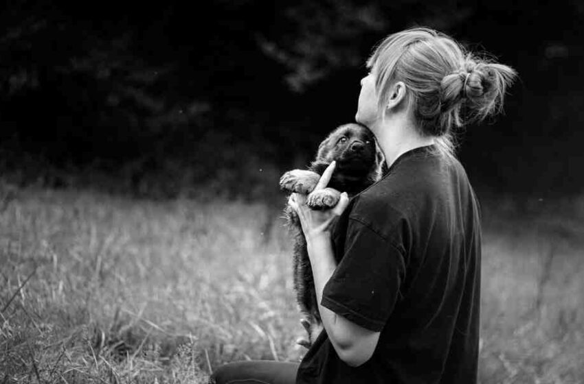 Quel est le meilleur sirop pour la santé ?