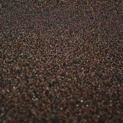 Quel vin servir avec un magret de canard ?