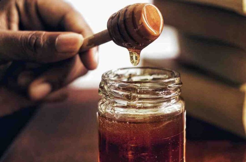 Quelle différence entre le miel et le sirop d'érable ?