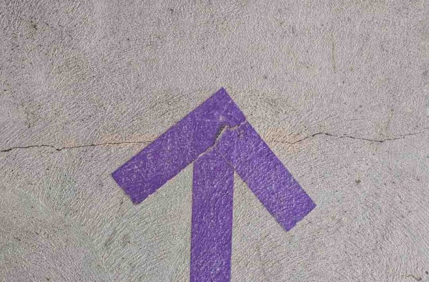 Quelles sont les meilleures épices ?