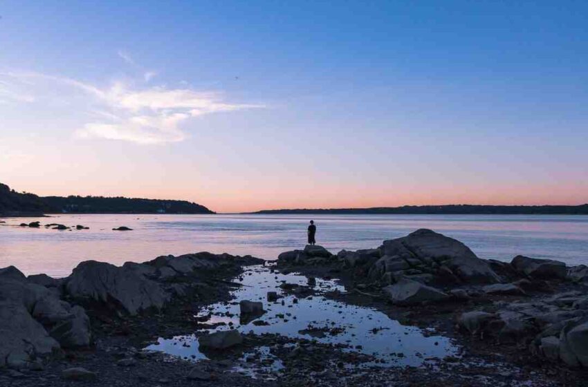 Qui Jacques Expert résumé ?