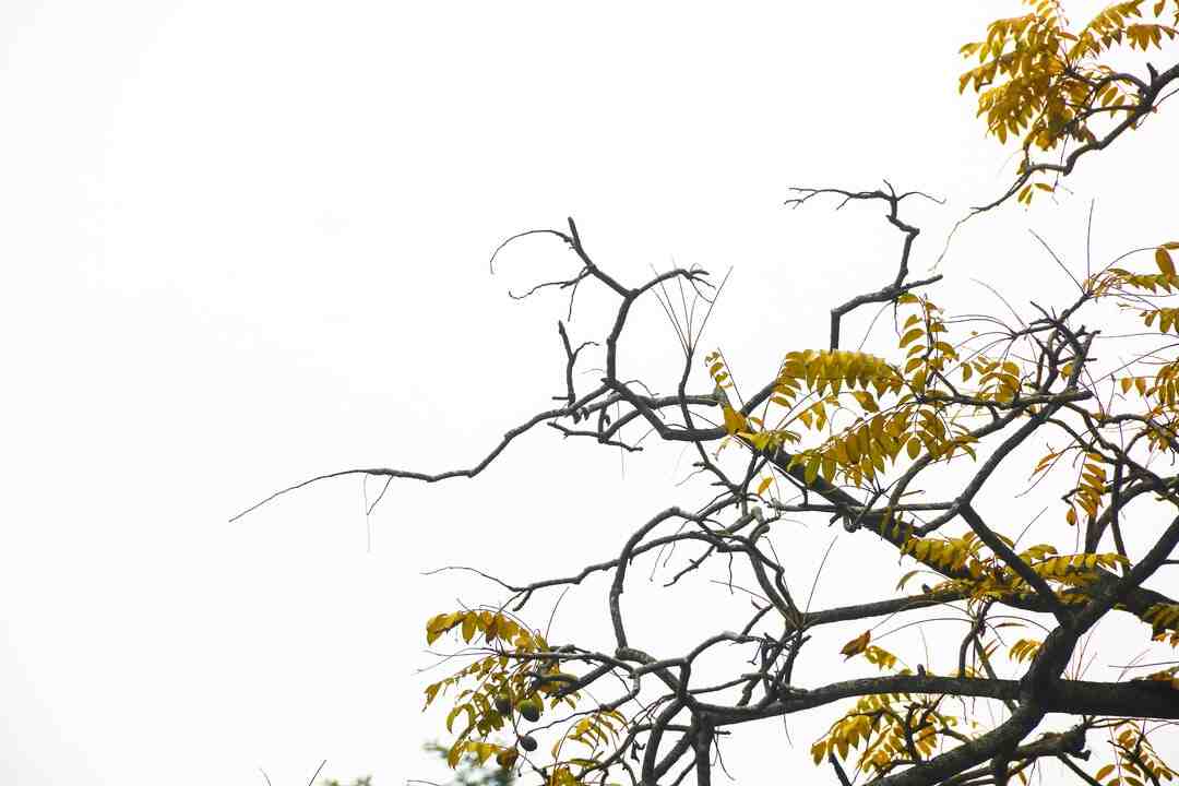 Qui a été éliminé à Top Chef hier soir 2021 ?