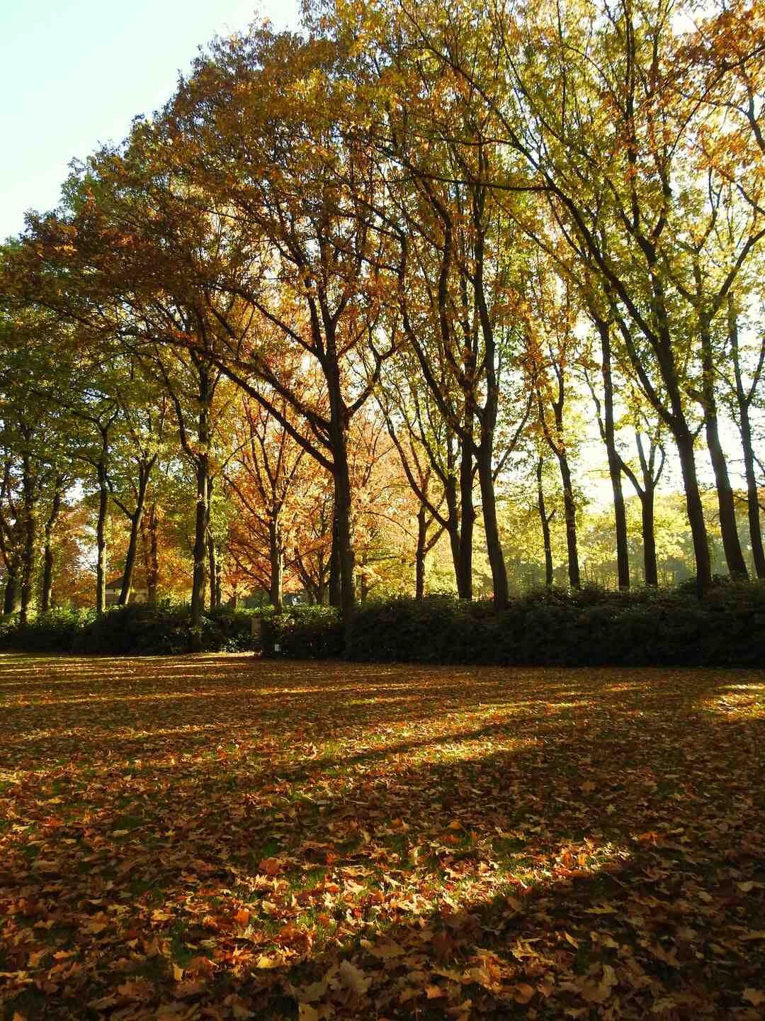 Qui a gagné la guerre des restos 2020 ?