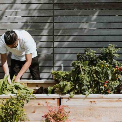 Recette top chef agneau