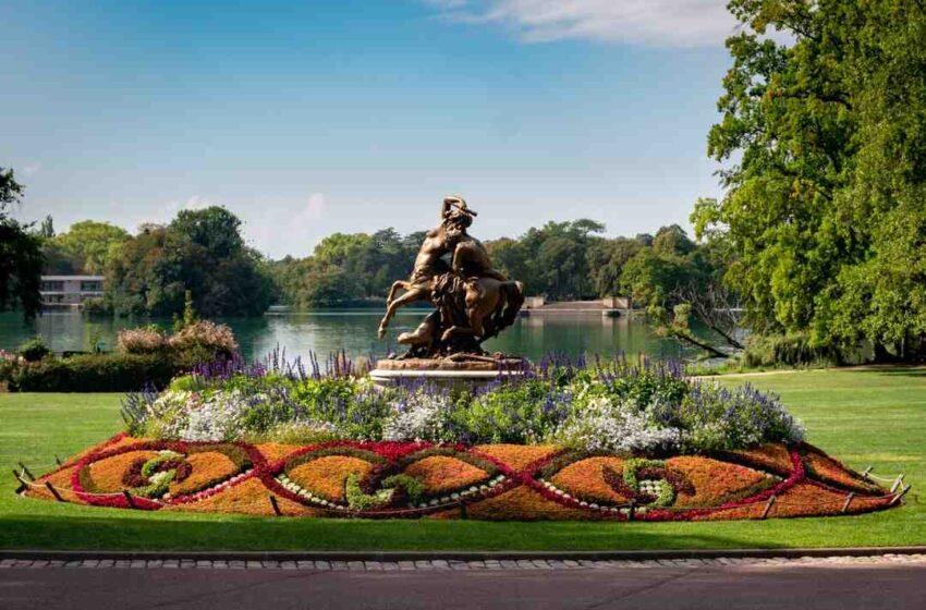 Sirop d'érable leclerc