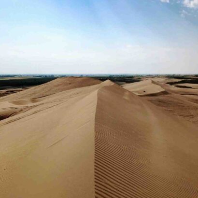 Acheter epices sainte lucie