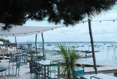 Thumbnail for Au droit de bouchon avis