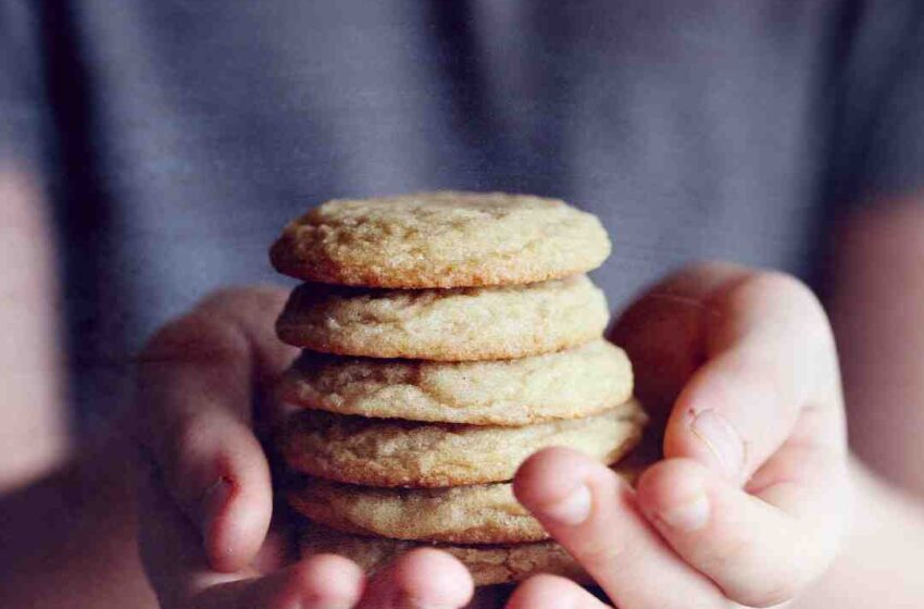 Biscuit au sirop d'érable moelleux
