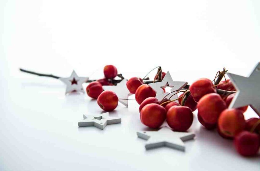 Biscuit de noel sirop d'érable