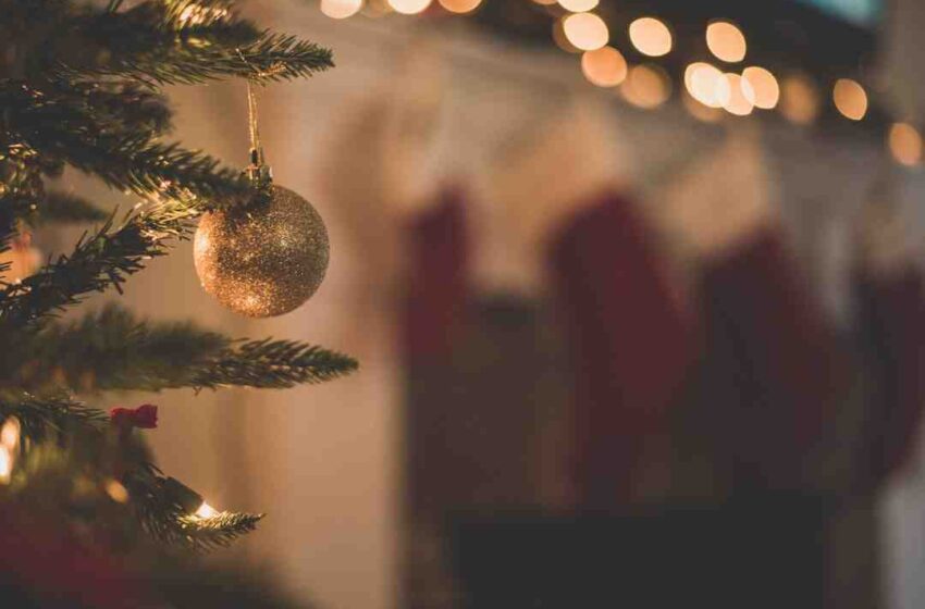 Biscuit de noel sirop d'érable cannelle