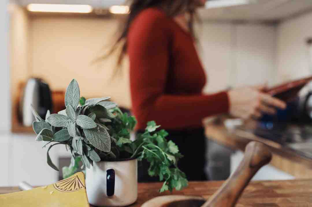 Comment Refrigerer sans réfrigérateur ?