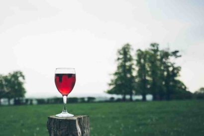 Thumbnail for Comment calculer le prix de vente d&rsquo;alcool ?