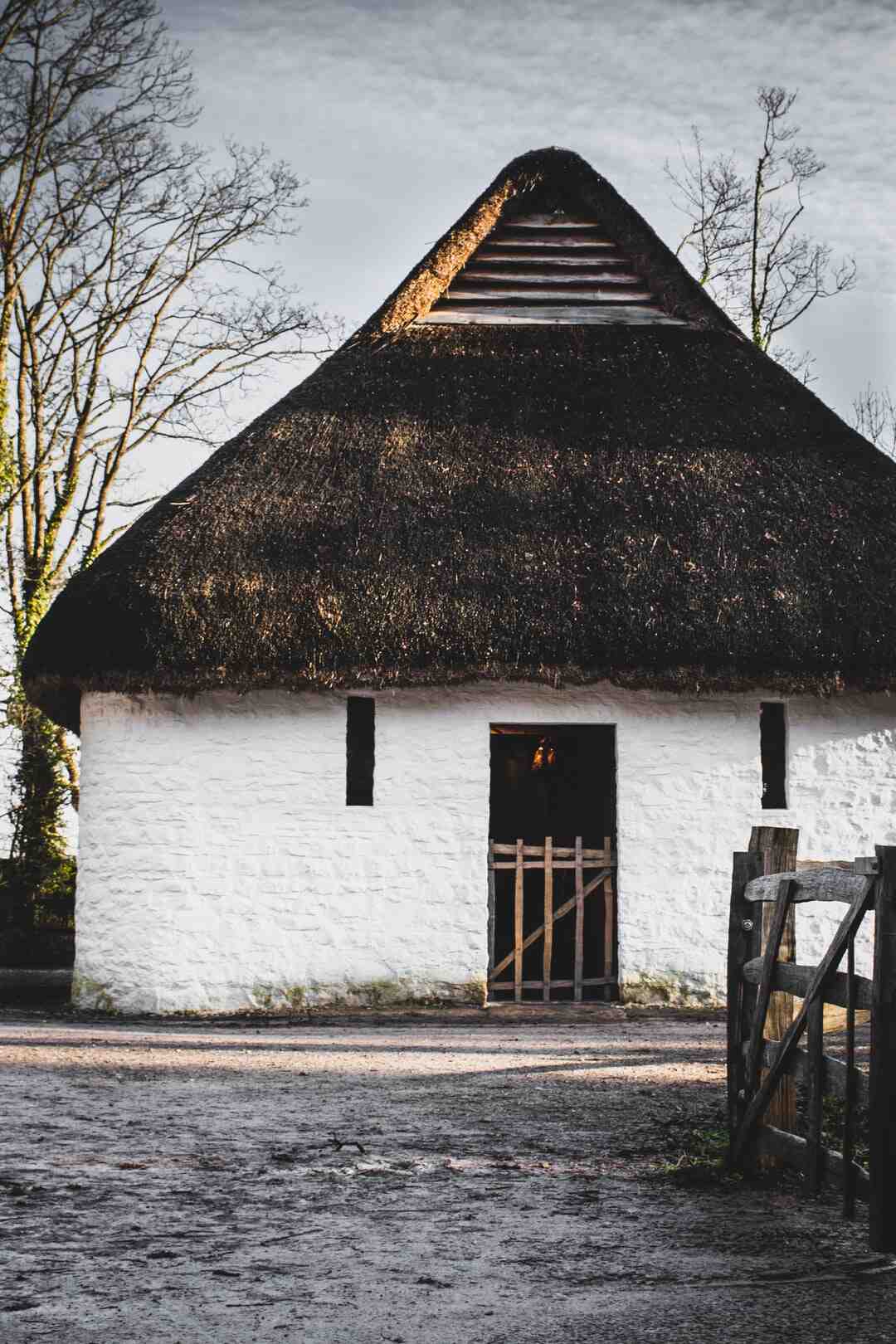 Comment obtenir le passeport de Saint Lucia ?