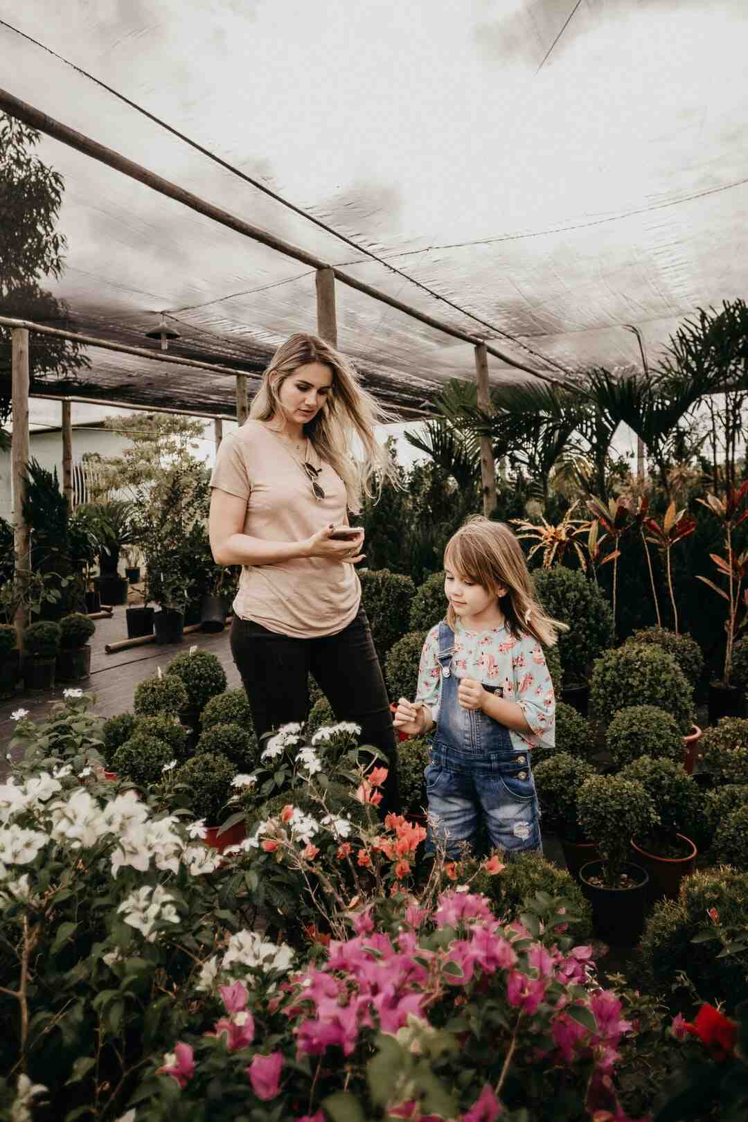 Est-ce que Etchebest à des étoiles ?