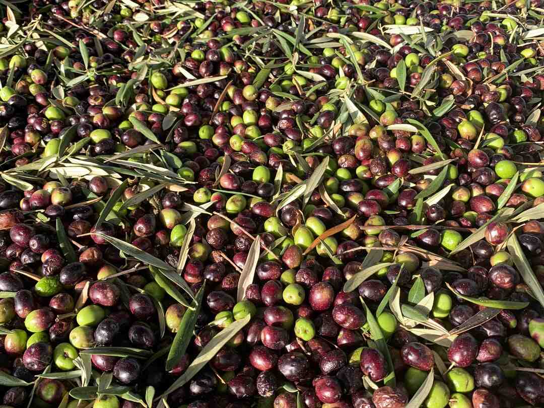 Est-ce qu'on peut frire avec de l'huile d'olive ?