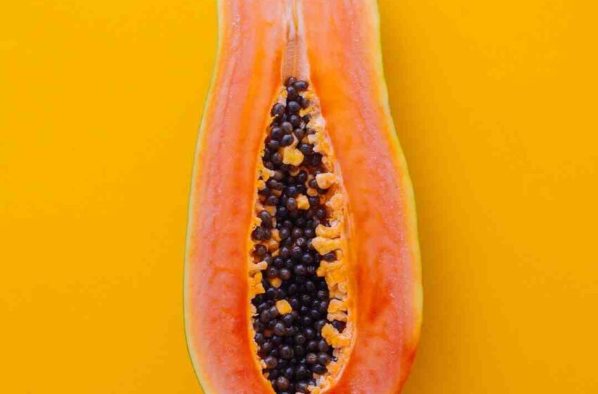 Idees de smoothies aux fruits
