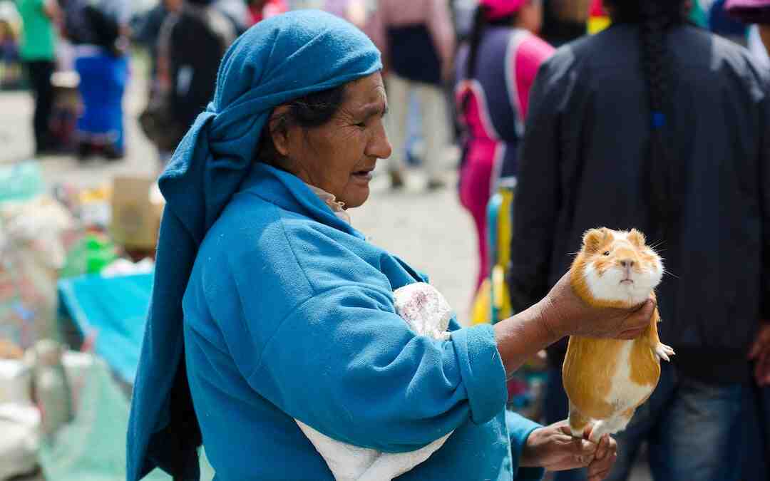 Où est le lapin de Pâques ?