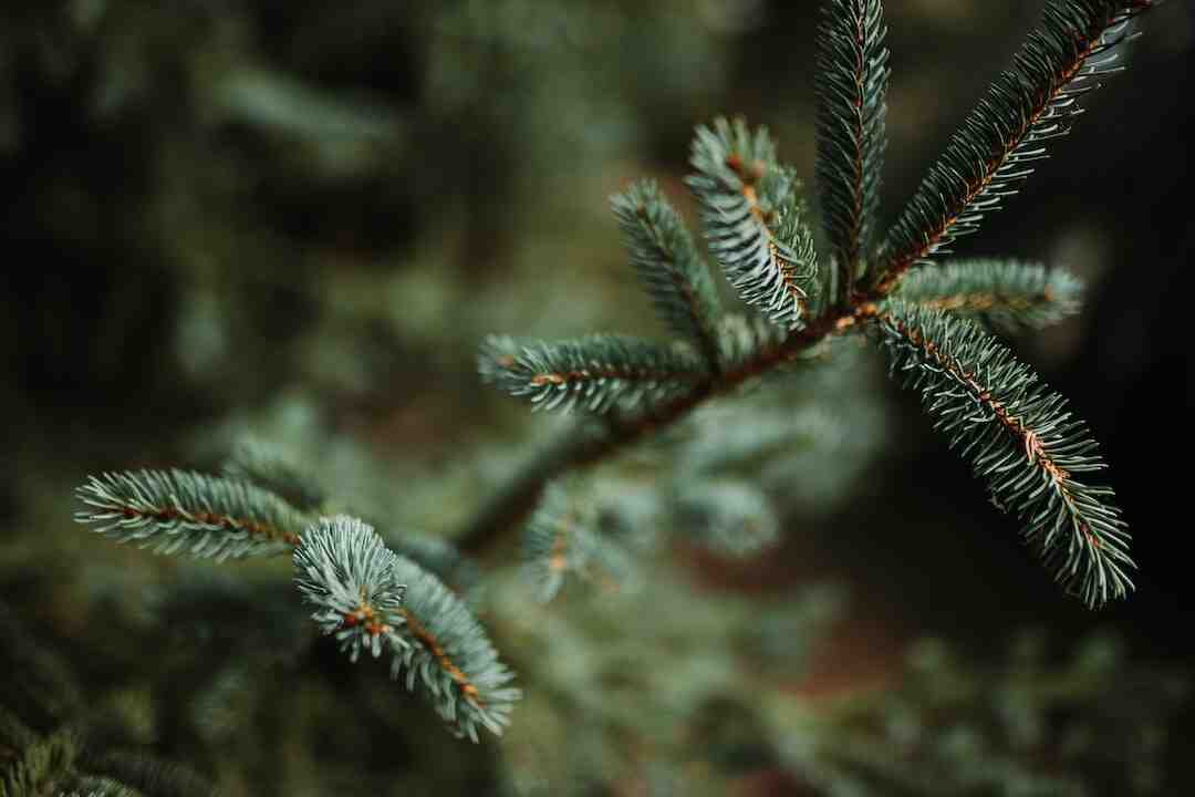 Où sont fabriquées les cuisines Arthur Bonnet ?