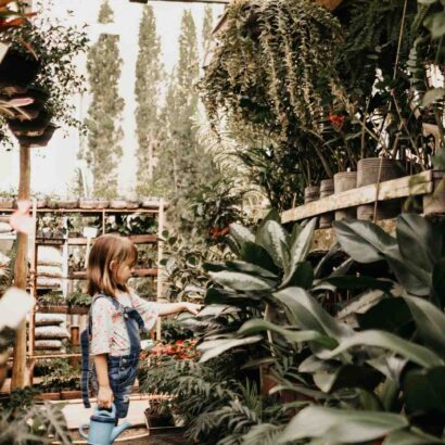 Où travaille Camille Delcroix ?