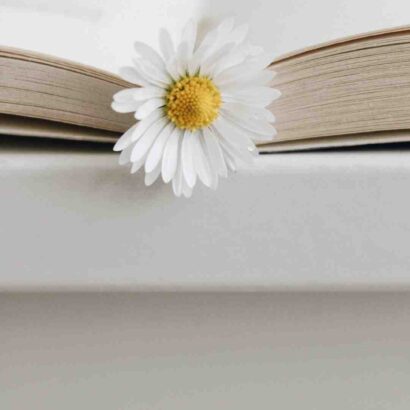 Où travaille Camille Maury ?