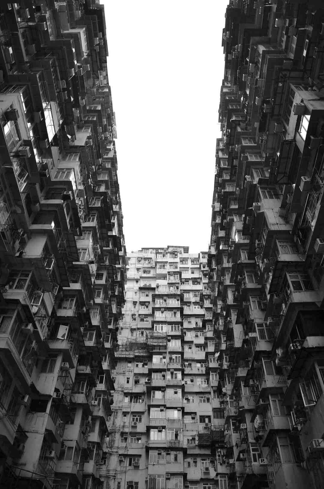 Quel animal pour le foie gras ?