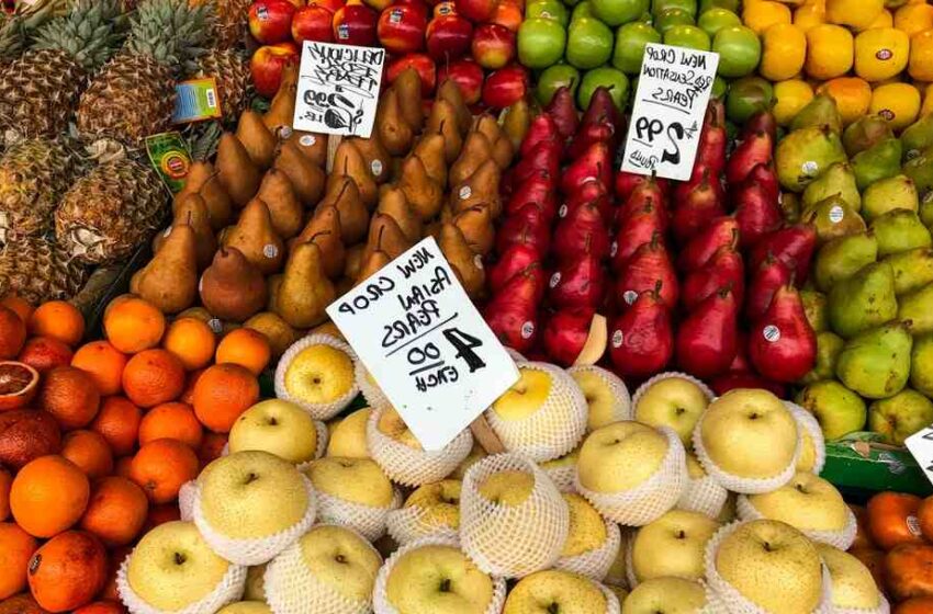 Quel est le prix d'une cuisine équipée ?