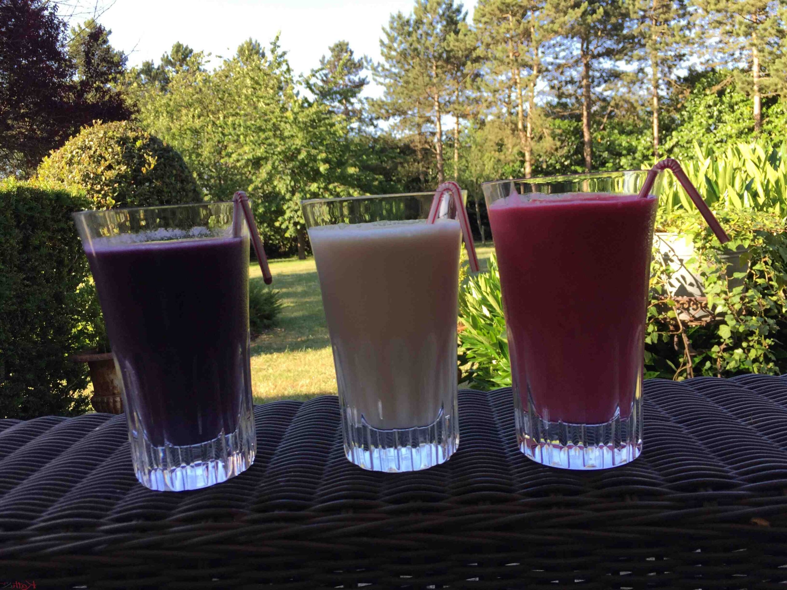 Quel fruit mixer ensemble ?