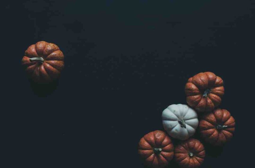 Quel plat en octobre ?