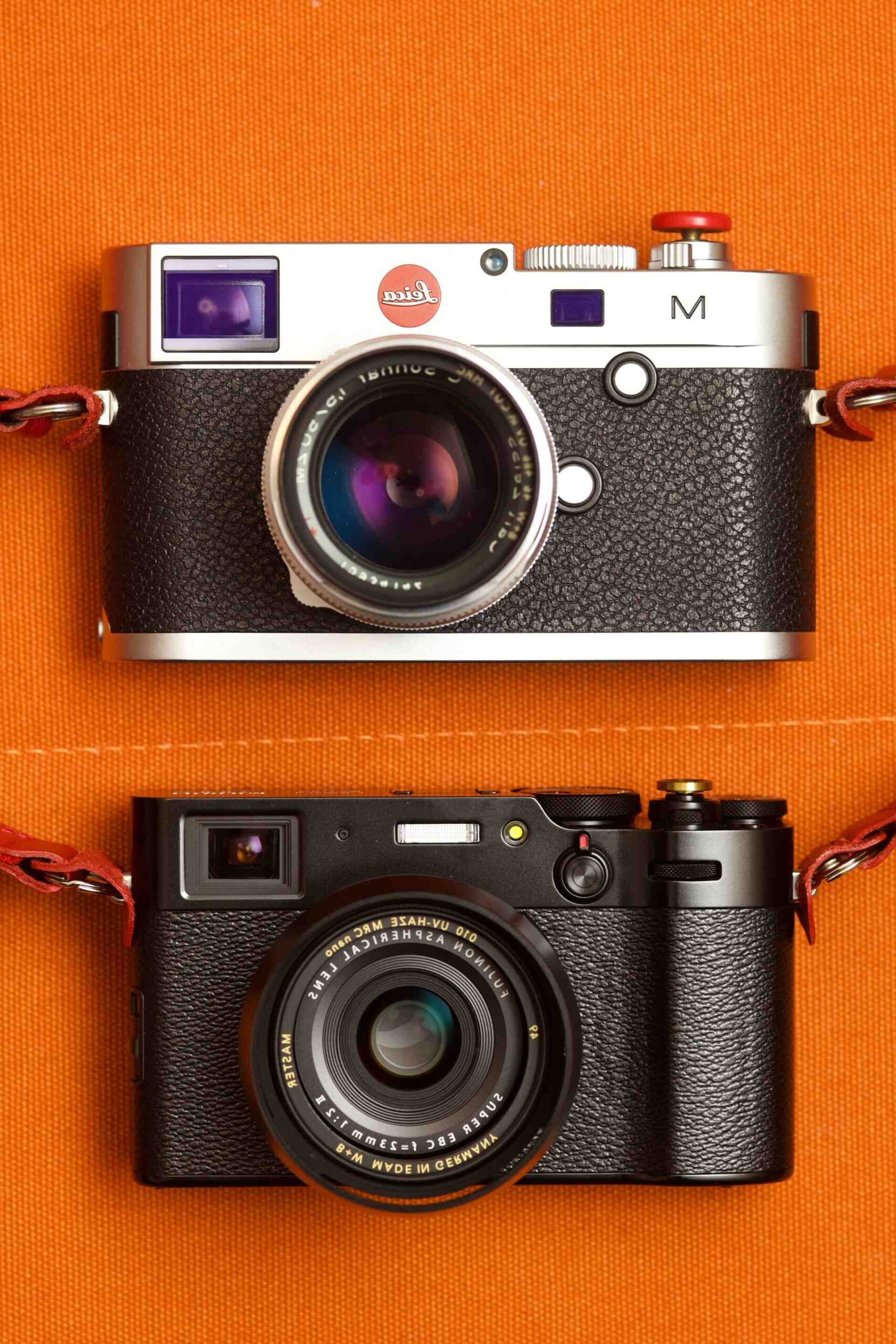 Quelle épice fait baisser la tension artérielle ?