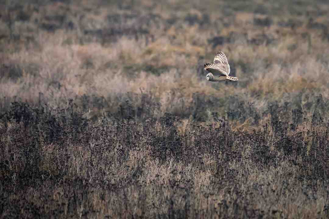 Quelle est la définition de tablier ?