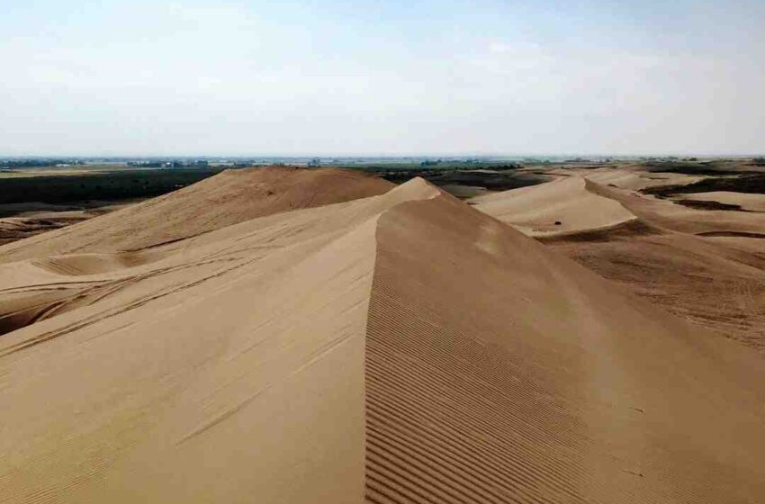 Quelle est la langue officielle de Sainte-lucie ?