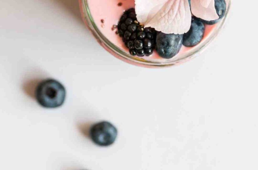 Quelle est la meilleure marque de smoothie ?