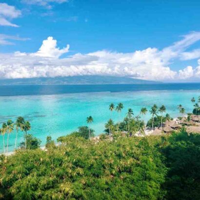 Qui anime la meilleure boulangerie de France ?