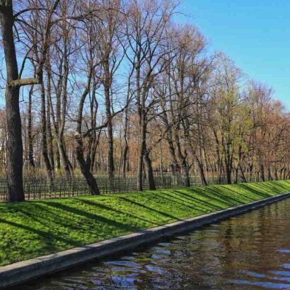 Qui reprend le cygne Saint-Omer ?