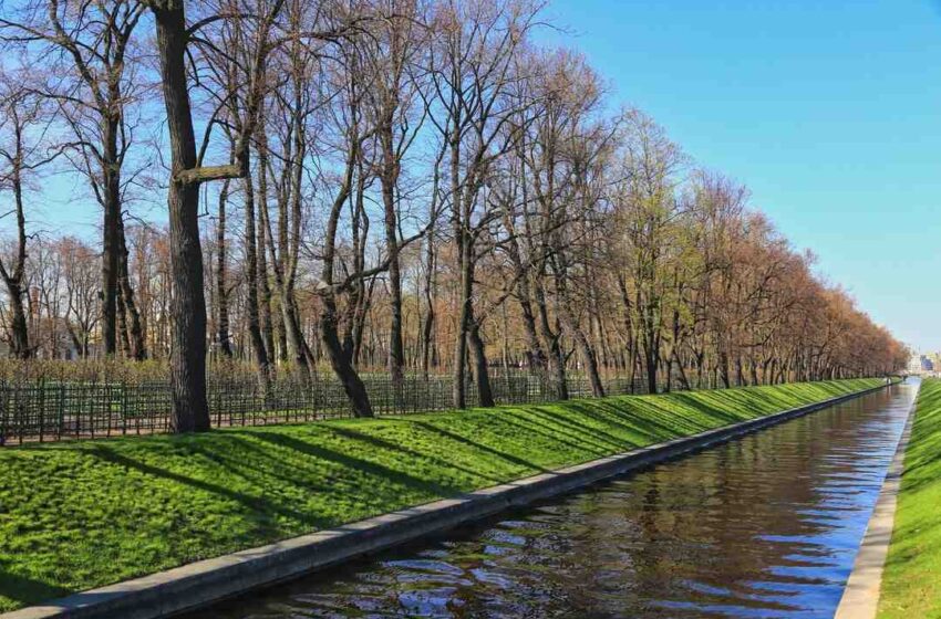 Qui reprend le cygne Saint-Omer ?