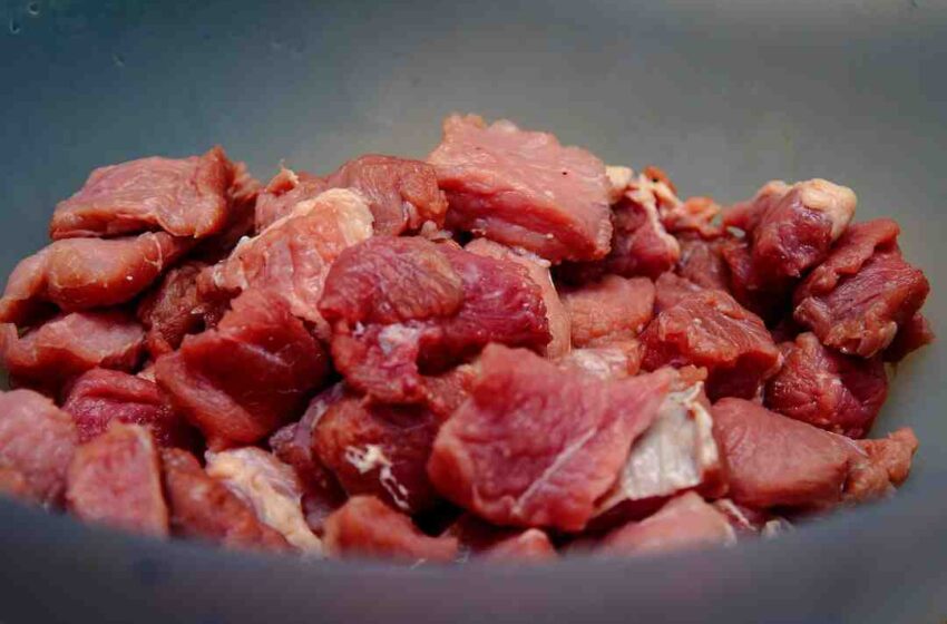 Recette gastronomique filet mignon de porc moutarde