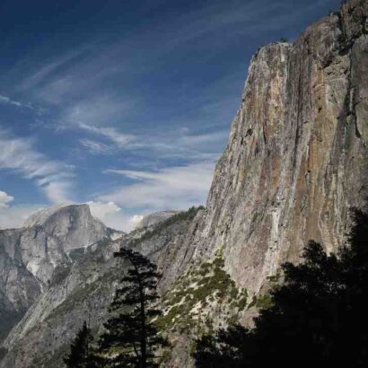 Sirop d'érable stardew valley