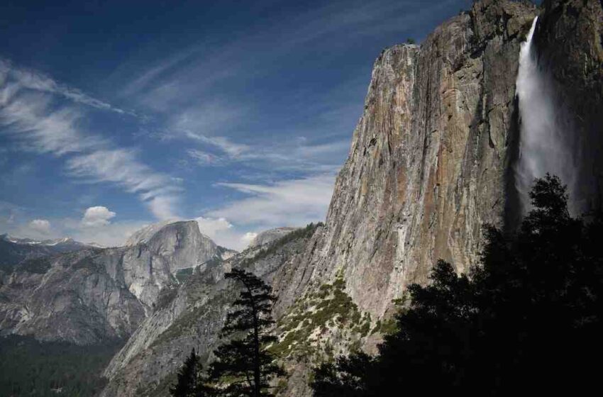 Sirop d'érable stardew valley