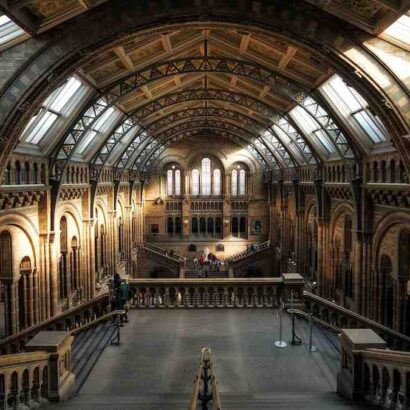 Acheter du foie gras a londres