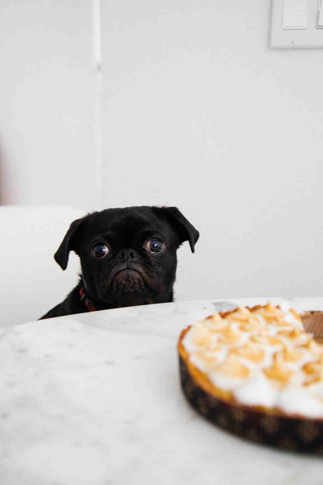 Comment avoir 2400 calories par jour ?