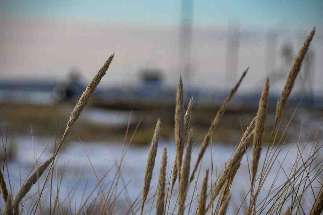 Comment gaver un canard naturellement ?