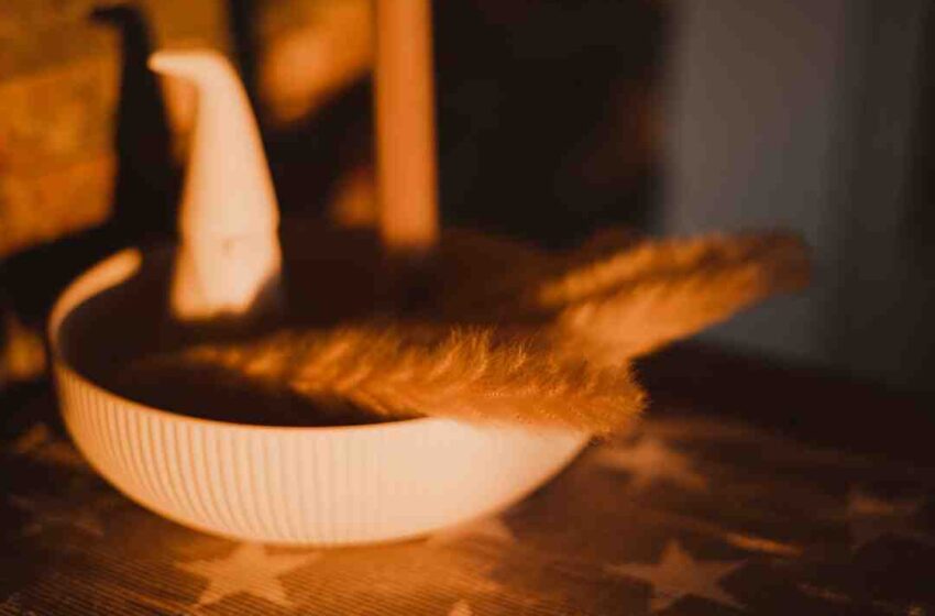 Comment obtenir du foie gras