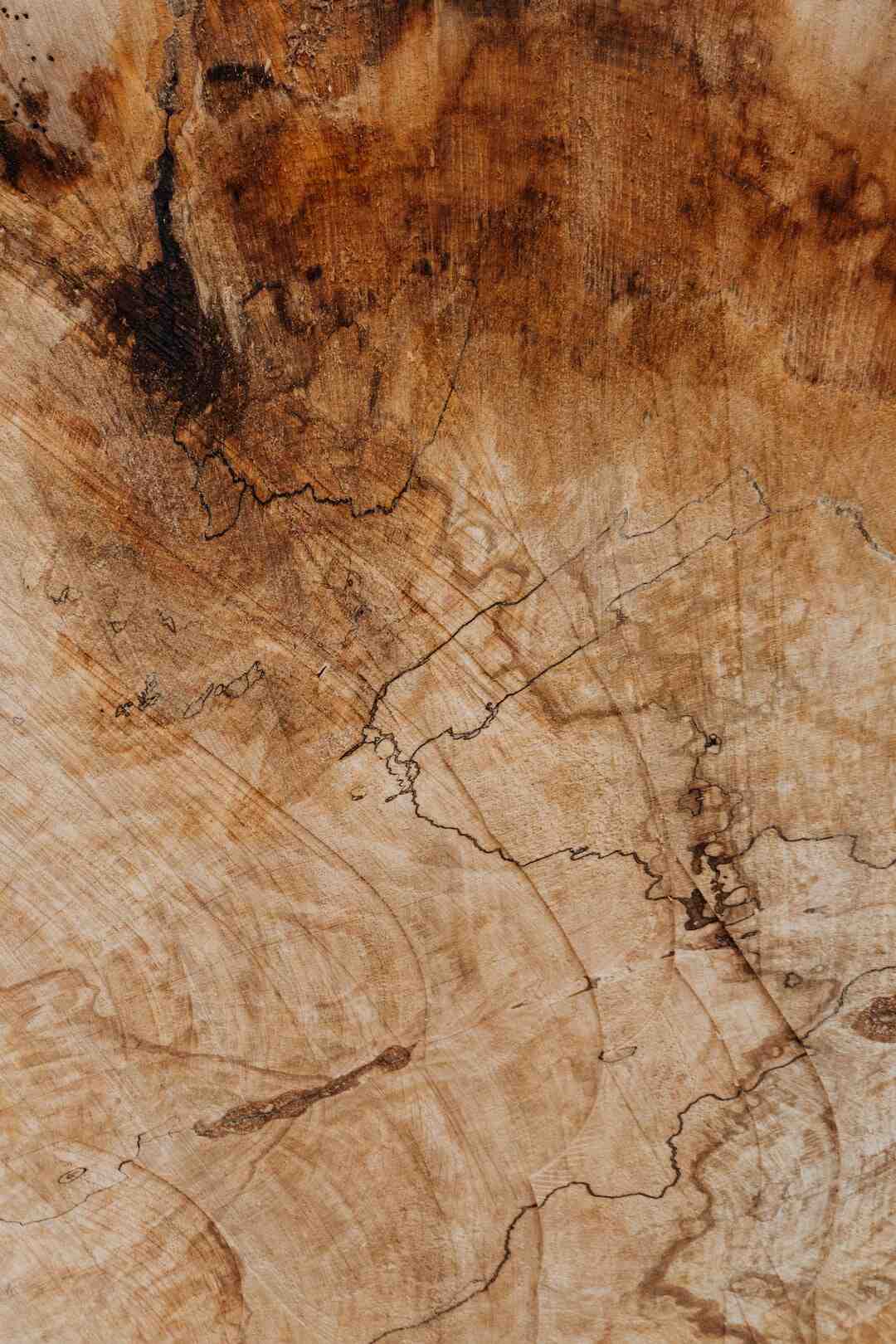 Comment protéger le liège ?