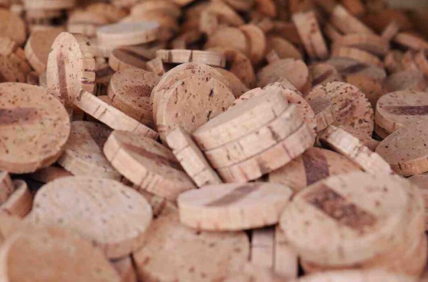 Comment retirer bouchon de vin ?